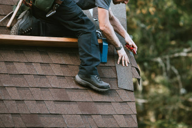 Best Roof Gutter Cleaning  in Rancho San Diego, CA